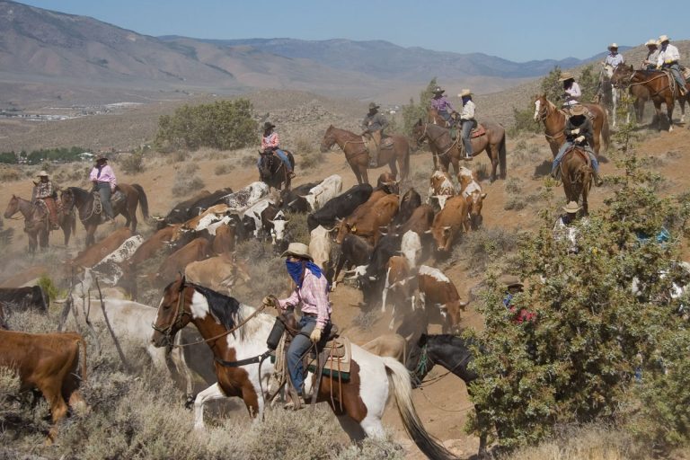 2024 Cattle Drive Reno Rodeo