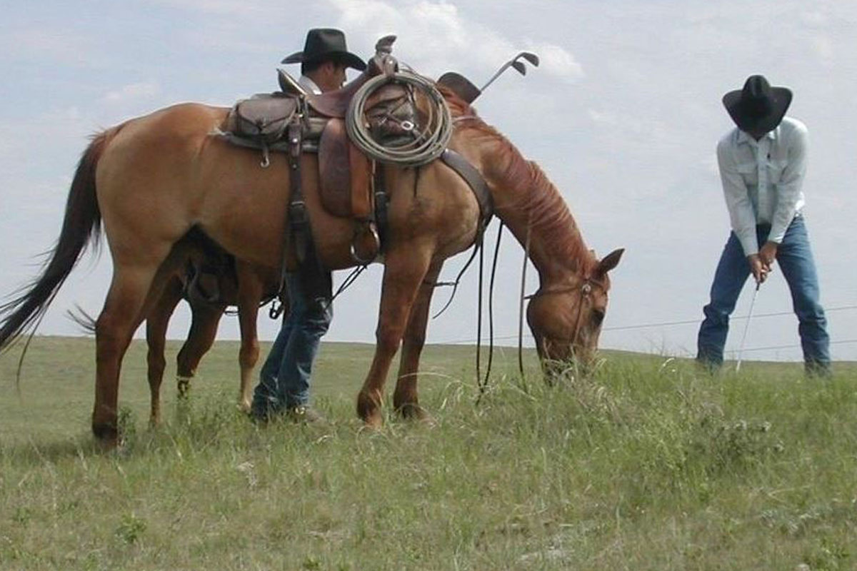 Reno Rodeo Schedule 2022 Reno Rodeo - Wildest, Richest, Rodeo In The West - June 17 - 26, 2021