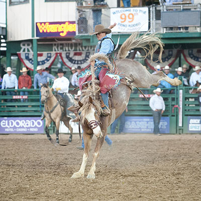 Saddle Bronc - Reno Rodeo