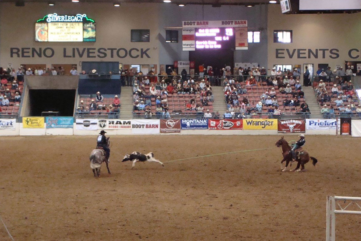 Bfi Team Roping