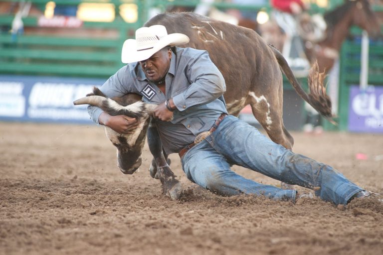 Steer Wrestling