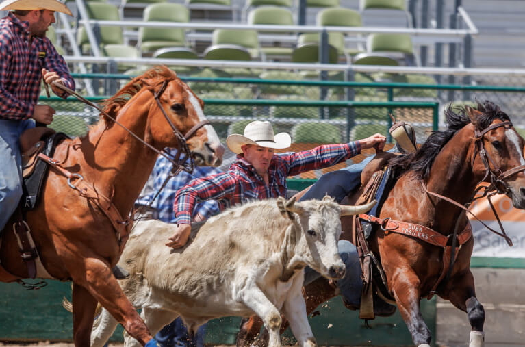 Reno Rodeo 101 Reno Rodeo