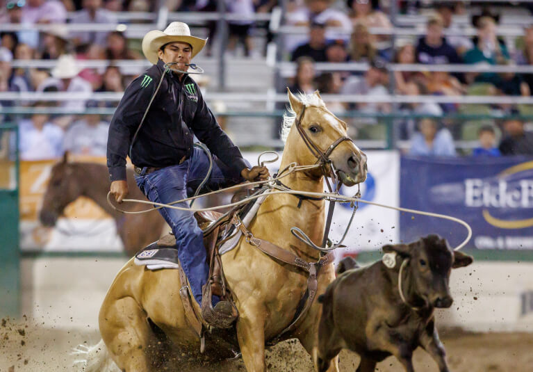 Reno Rodeo 101 Reno Rodeo