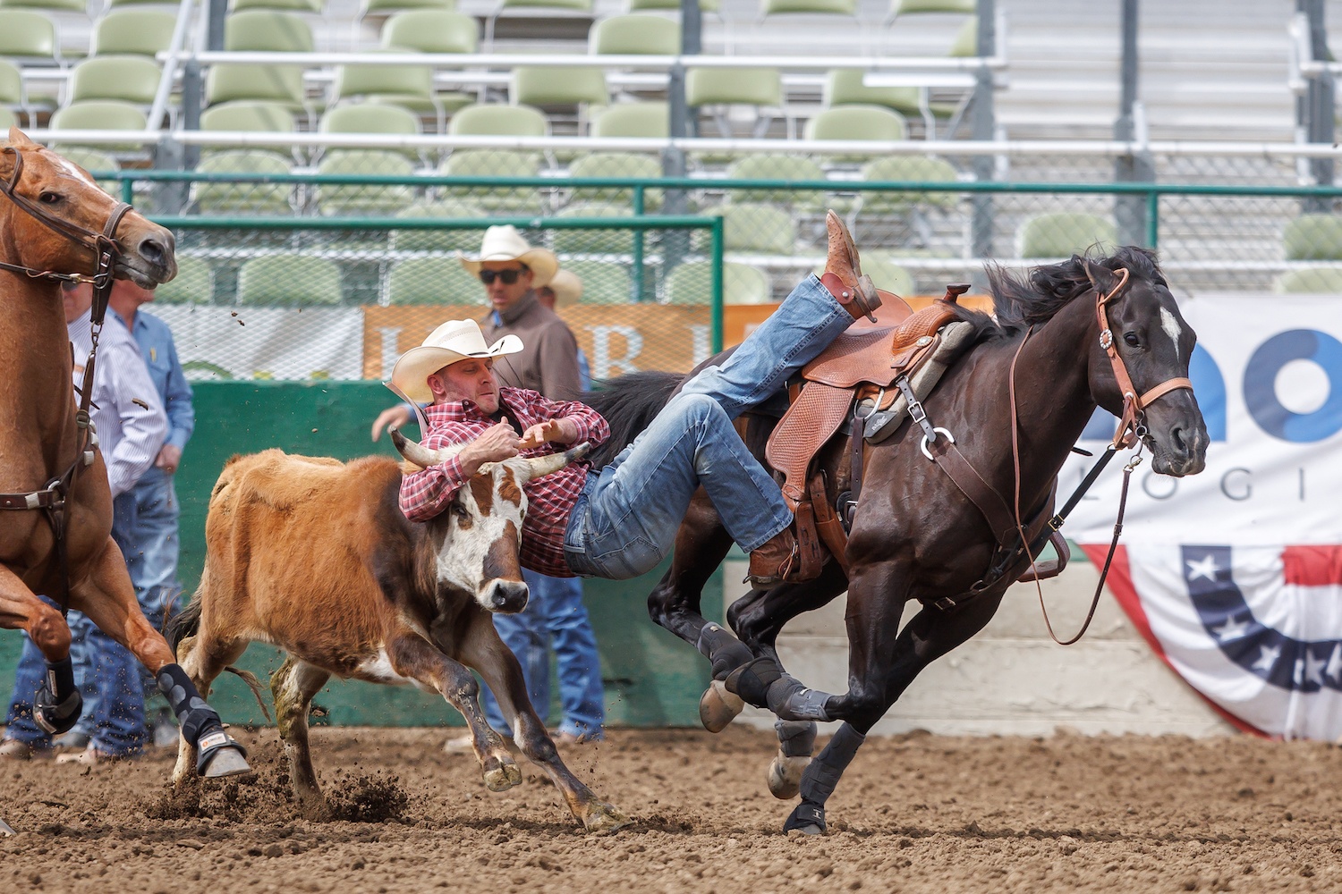 Riding, Roping and Racing More Ways to Experience the Reno Rodeo
